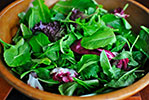 Green Leaf Salad